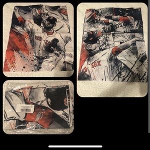 Boston Red‎ Sox canvases - set of 3